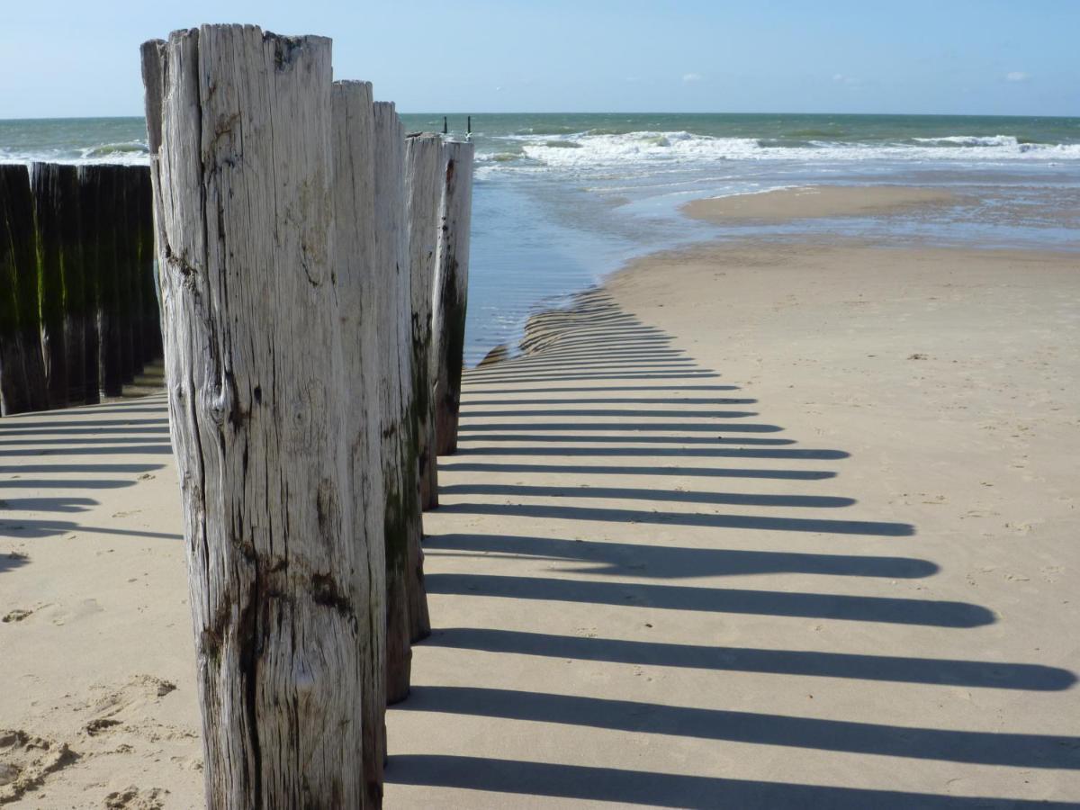 Vakantiehuis Zee, Bos & Duin Zoutelande Zo02 מראה חיצוני תמונה